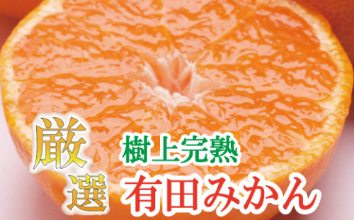 厳選　完熟有田みかん2kg+60g（傷み補償分）【光センサー選別】＜11月上旬より順次発送予定＞【ikd005B】 208206 - 和歌山県北山村
