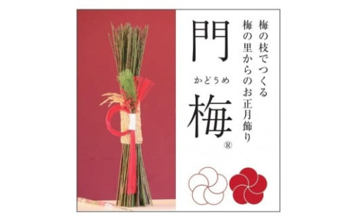 梅の里からの正月飾り「門梅」［R］ [AJ1] 2082706 - 和歌山県那智勝浦町