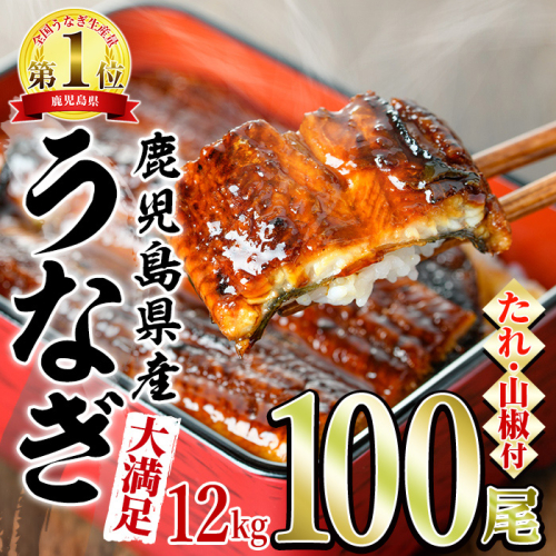 【4504306a】＜大満足＞東串良町のうなぎ蒲焼(無頭)(120g×100尾・計約12000g・タレ、山椒付)うなぎ 高級 ウナギ 鰻 国産 蒲焼 蒲焼き たれ 鹿児島 ふるさと 人気【アクアおおすみ】 208303 - 鹿児島県東串良町