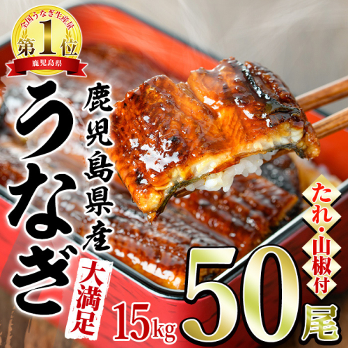 【5004307a】＜大満足＞東串良町のうなぎ蒲焼(無頭)(300g×50尾・計約15000g・タレ、山椒付)うなぎ 高級 ウナギ 鰻 国産 蒲焼 蒲焼き たれ 鹿児島 ふるさと 人気【アクアおおすみ】 208314 - 鹿児島県東串良町