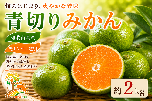 【先行予約】こだわりの青切りみかん 約2kg 農家直送 有機質肥料 100% サイズ混合 ｜ みかん 柑橘 果物 くだもの 果実 フルーツ 和歌山 有田 2083323 - 和歌山県美浜町