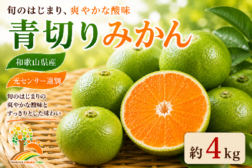 【先行予約】こだわりの青切りみかん 約4kg 農家直送 有機質肥料 100% サイズ混合 ｜ みかん 柑橘 果物 くだもの 果実 フルーツ 和歌山 有田 2083324 - 和歌山県美浜町