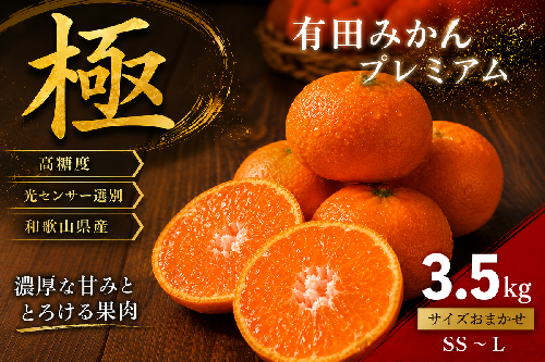 ＼光センサー選別／極 有田みかんプレミアム 約3.5kg【光センサー 高糖度選別品】2S～Lの小玉サイズ 有機質肥料100% | 光センサー選別 温州みかん みかん 高糖度 柑橘 果物 フルーツ 甘い◇ 2083327 - 和歌山県美浜町