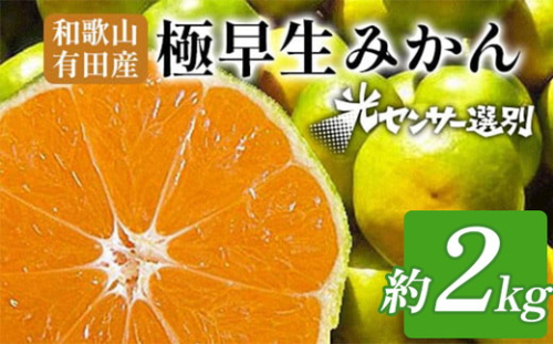 こだわりの極早生みかん 約2kg 農家直送 有機質肥料100% サイズ混合 ｜ みかん 極早生 早生 柑橘 果物 くだもの 果実 フルーツ 和歌山 有田 ※北海道・沖縄・離島への配送不可 ※2025年9月下旬～10月中旬頃に順次発送予定 2083394 - 和歌山県美浜町
