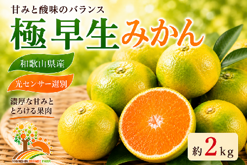 【先行予約】こだわりの極早生みかん 約2kg 農家直送 有機質肥料100% サイズ混合 ｜ みかん 極早生 早生 柑橘 果物 くだもの 果実 フルーツ 和歌山 有田 2083394 - 和歌山県美浜町