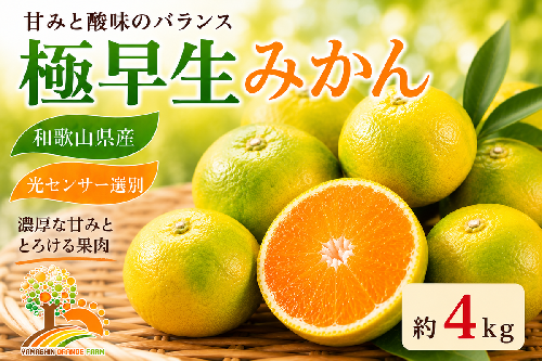 【先行予約】こだわりの極早生みかん 約4kg 農家直送 有機質肥料100% サイズ混合 ｜ みかん 極早生 早生 柑橘 果物 くだもの 果実 フルーツ 和歌山 有田 2083395 - 和歌山県美浜町