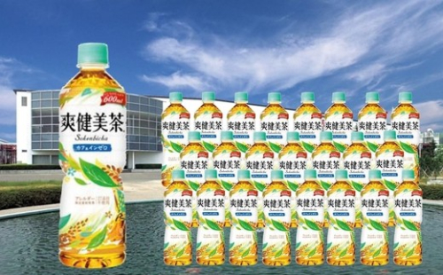 爽健美茶 600mlPET×24本 【04301-0027】 2083476 - 宮城県蔵王町