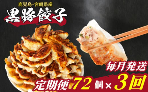 訳あり 黒豚餃子 3回 毎月 定期便 72個 12個×6パック 冷凍 小分け たれ付き 大容量 ぎょうざ ギョウザ ギョーザ 2083660 - 山口県下関市