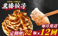 訳あり 黒豚餃子 12回 毎月 定期便 72個 12個×6パック 冷凍 小分け たれ付き 大容量 ぎょうざ ギョウザ ギョーザ