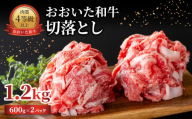 【父の日ギフト】おおいた和牛 切落とし 1.2kg ≪6月15日お届け≫ 牛肉 和牛 黒毛和牛 国産 豊後牛 冷凍 炒め物 脂身 焼き肉 焼きそば A01142-C