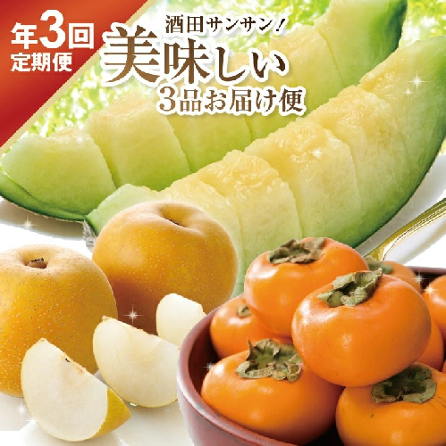 SF0247　【3回定期便】酒田サンサン 美味しい3品お届け便2025 (アンデスメロン、刈屋梨、庄内柿) 2083852 - 山形県酒田市