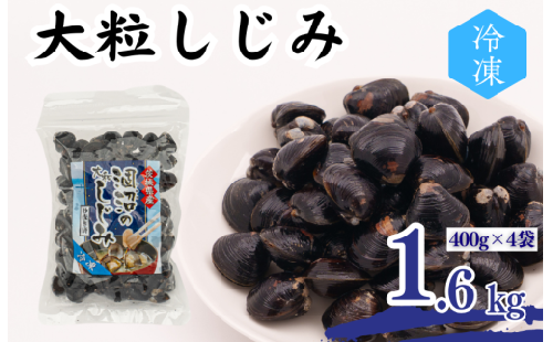 涸沼産 大粒しじみ (1.6kg) 2084152 - 茨城県鉾田市