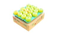 ＜26年1月出荷予定＞平均糖度13度以上! シナノゴールド 約10kg 訳あり【1612921】