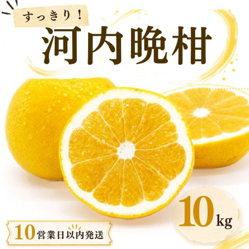 【10営業日以内発送】河内晩柑 ばんかん 約 10kg 家庭 柑橘 かんきつ フルーツ 果物 くだもの すぐ届く 早い 甘い さっぱり  厳選 愛媛 みかん 蜜柑 愛南 ご当地 ブランド 野菜 サラダ ピール ゼリー お菓子 デザート マルエム直販 愛媛県 愛南町 208429 - 愛媛県愛南町