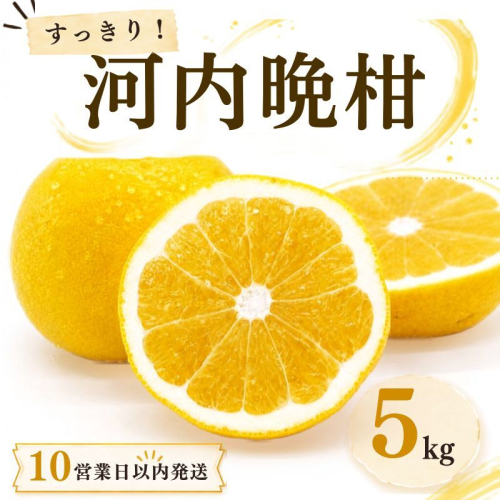 【10営業日以内発送】河内晩柑 ばんかん 約 5kg 家庭 柑橘 かんきつ フルーツ 果物 くだもの すぐ届く 早い 甘い さっぱり 厳選 愛媛 みかん 蜜柑 Mikan 愛南 ご当地 ブランド 野菜 サラダ ピール ゼリー お菓子 デザート マルエム直販 愛媛県 愛南町 208430 - 愛媛県愛南町