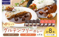 【ギフト仕様】ゆるっとグルテンフリーカレー ビーフ（中辛）ポーク（甘口） 合計8食セット【092D-005】