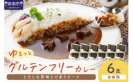 【自家用 化粧箱なし】ゆるっとグルテンフリー とろとろ旨味とけあうビーフカレー（中辛）6食セット【092D-009】