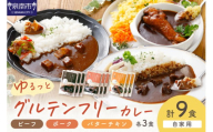 【自家用 化粧箱なし】ゆるっとグルテンフリーカレー ビーフ（中辛）ポーク（甘口）バターチキン（辛口）合計9食セット【092D-011】