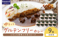 【自家用 化粧箱なし】ゆるっとグルテンフリー とろとろ旨味とけあうビーフカレー（中辛）9食セット【092D-013】