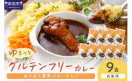 【自家用 化粧箱なし】ゆるっとグルテンフリー ほろほろ濃厚バターチキンカレー（辛口）9食セット【092D-014】