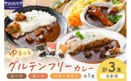 【自家用 化粧箱なし】ゆるっとグルテンフリーカレー ビーフ（中辛）ポーク（甘口）バターチキン（辛口）合計3食セット【092E-009】