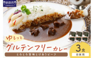 【自家用 化粧箱なし】ゆるっとグルテンフリー とろとろ旨味とけあうビーフカレー（中辛）3食セット【092E-011】