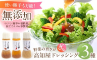 【母の日発送】素材力 高知屋 無添加ドレッシング3本セット (人参、焼き玉ねぎ、ごまとごぼう)  【株式会社 四国健商】 [ATAF042]　国産 野菜 ドレッシング 万能ドレッシング 調味料 料理 タレ 和風 洋風 万能調味料