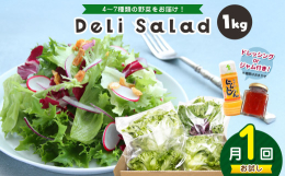 ■□■【関東限定発送】のお品です■□■&starf;こちらは、≪月１回 発送≫のページです&starf; （月2回 発送のページもあります）〜おまかせ！野菜ミックス セット ＜珍しい西