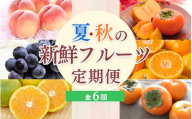 【定期便全6回】夏・秋の新鮮フルーツ定期便【tec-tkb001】