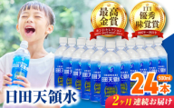 【全2回定期便】 日田天領水 500ml×24本  日田市 / グリーングループ株式会社 [AREG041]
