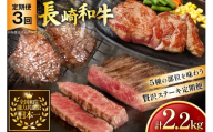 牛肉 和牛 定期便 長崎和牛 ステーキ 食べ比べ 5種 3回 総計2.2kg [黒牛 長崎県 東彼杵町 hs42bag750003] 赤身肉 赤身肉ステーキ 赤身ステーキ ヒレステーキ サーロインステーキ ランプ