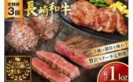 牛肉 和牛 定期便 長崎和牛 ステーキ 食べ比べ 3回 ヒレ ランプ サーロイン 総計1.0kg [黒牛 長崎県 東彼杵町 hs42bag750004] 赤身肉 赤身肉ステーキ 赤身ステーキ ヒレステーキ サーロインステーキ ランプ