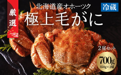 今だけ冷蔵配送！オホーツク網走の流氷明け浜ゆで毛ガニ2尾(1尾約350g) ABC031 2085984 - 北海道網走市
