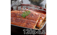 【国産】静岡焼きうなぎ　120g×6食　合計720g