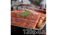 【国産】静岡焼きうなぎ　120g×8食　合計960g