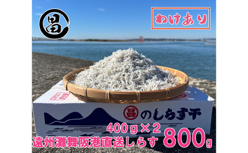 わけあり しらす 遠州灘舞阪港直送 しらす干し 800g（400g×2袋） 冷凍 シラス 訳アリ 【配送不可：離島】 浜松市 2086337 - 静岡県浜松市