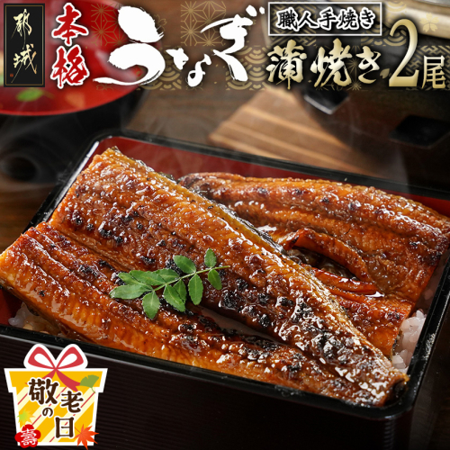 【敬老の日】職人手焼きの本格うなぎ蒲焼き2尾≪9月11日～15日お届け≫_MJ-3305-KG 2086390 - 宮崎県都城市
