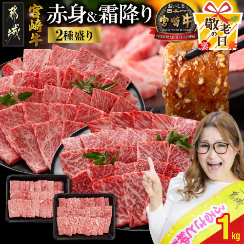 【敬老の日】宮崎牛焼肉2種セット500g×2パック≪9月11日～15日お届け≫_17-N202-KG 2086396 - 宮崎県都城市