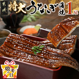 【&star;敬老の日&star;ギフト対象品】 お申込期限：9月10日(水) ※オンライン決済限定 お届け時期：9月11日(木)〜9月15日(月)にお届けいたします。 〜2025年の