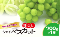平山ぶどう園のシャインマスカット（種なし）700g × 1房 / KTRBV001 / シャインマスカット マスカット ますかっと 種なし ぶどう ブドウ 葡萄 令和7年発送