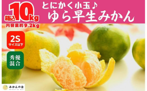 ゆら早生 みかん 小玉ちゃん 箱込10kg (内容量 9.2kg) 2Sサイズ以下 秀優混合 有田みかん 和歌山県産 【みかんの会】 2086830 - 和歌山県有田川町