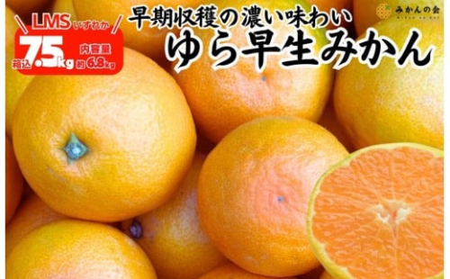 ゆら早生 みかん 箱込7.5kg (内容量 6.8kg) SMLサイズのいずれか 秀品 優品 混合 有田みかん 和歌山県産 【みかんの会】 2086968 - 和歌山県有田川町
