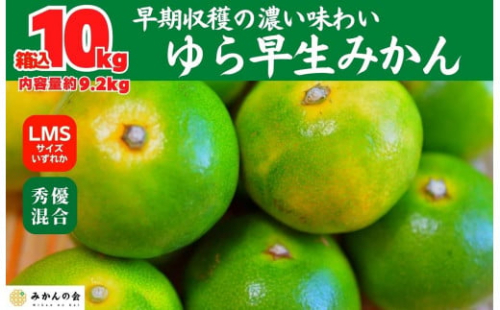 ゆら早生 みかん 箱込10kg (内容量 9.2kg)  SMLサイズのいずれか 秀品 優品 混合 有田みかん 和歌山県産 【みかんの会】 2086969 - 和歌山県有田川町