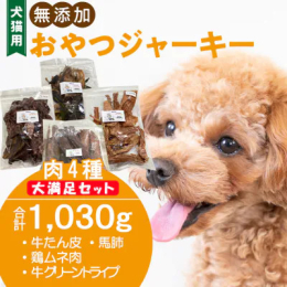【説明】 おやつ工房さっちゃん厳選された食材ばかりの4種類合計1,030gの大満足セットです。 1.牛たん皮 牛タンのいい香りが食欲をそそります。時間をかけてじっくり乾燥させてあるのでパリッと割れる美
