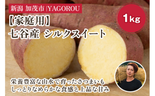 【家庭用】シルクスイート 1kg（A品・B品混在） 新潟県加茂市七谷産 さつまいも《順次発送》 サツマイモ お芋 焼き芋 スイートポテト 野菜 根菜 低温熟成 加茂市 YAGOROU ヤゴロウ