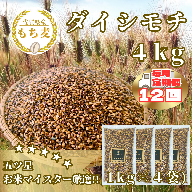 CIB44_【１２回定期便】ダイシモチ４ｋｇ もち麦 キラリ もち麦ごはん