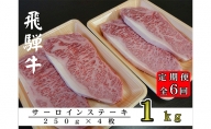 【6ヶ月定期便】A5ランク飛騨牛サーロインステーキ用1kg