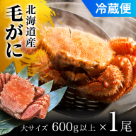 毛がに大サイズ１ハイ（冷蔵） OSMA005【 ふるさと納税 人気 おすすめ ランキング かに カニ 蟹 毛ガニ 毛蟹 塩ゆで ボイル ゆでたて 冷蔵 鍋 パスタ かにめし 炊き込みご飯 かにみそ かに味噌 甲羅盛り 北海道 長万部町 送料無料 】