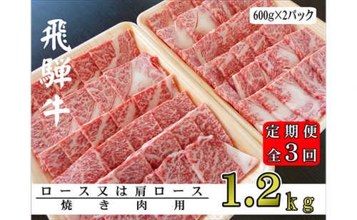 【3ヶ月定期便】A5ランク飛騨牛焼き肉1.2kg（ロース又は肩ロース）