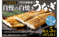三河高浜産三代目養鰻家の白焼きうなぎ 特大5尾（875ｇ以上） お中元用